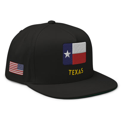 Gorra de Texas