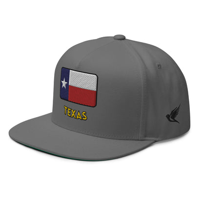 Gorra de Texas