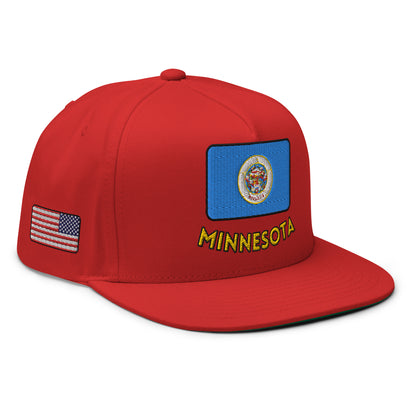 Gorra Minnesota