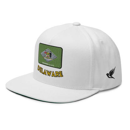 Gorra de Delaware